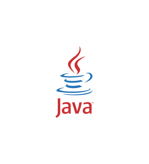  IT consulting and software services