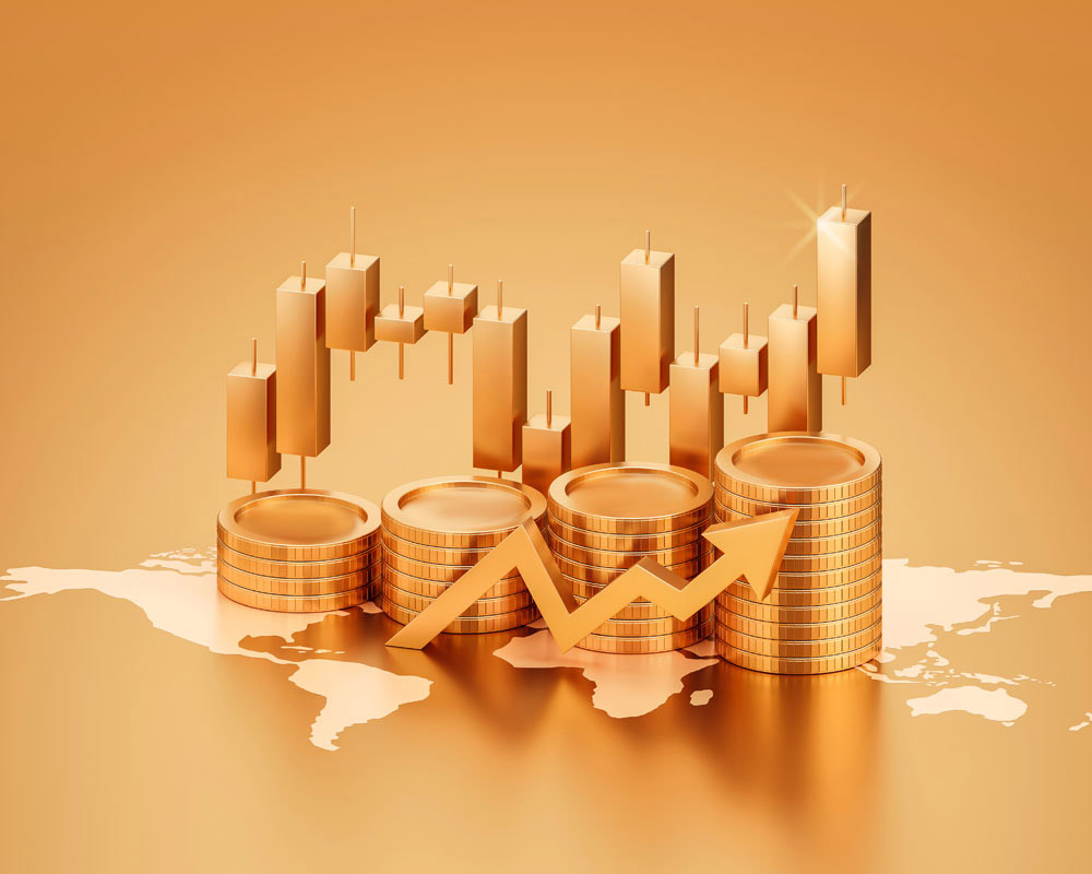 Public Finance